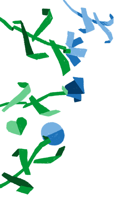 Elementi decorativi